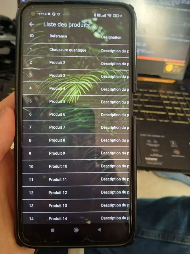 Liste des produits récupérée depuis l'API avec références et descriptions